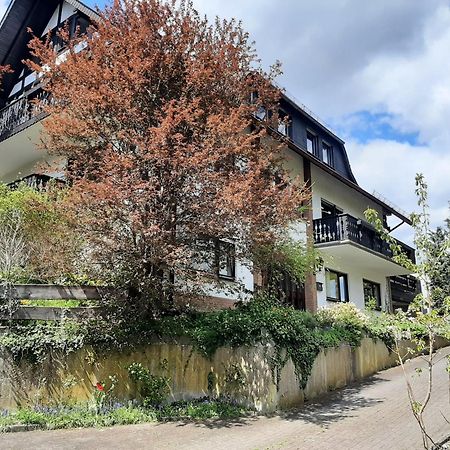 הלנברג Ferienwohnung Bergblick מראה חיצוני תמונה