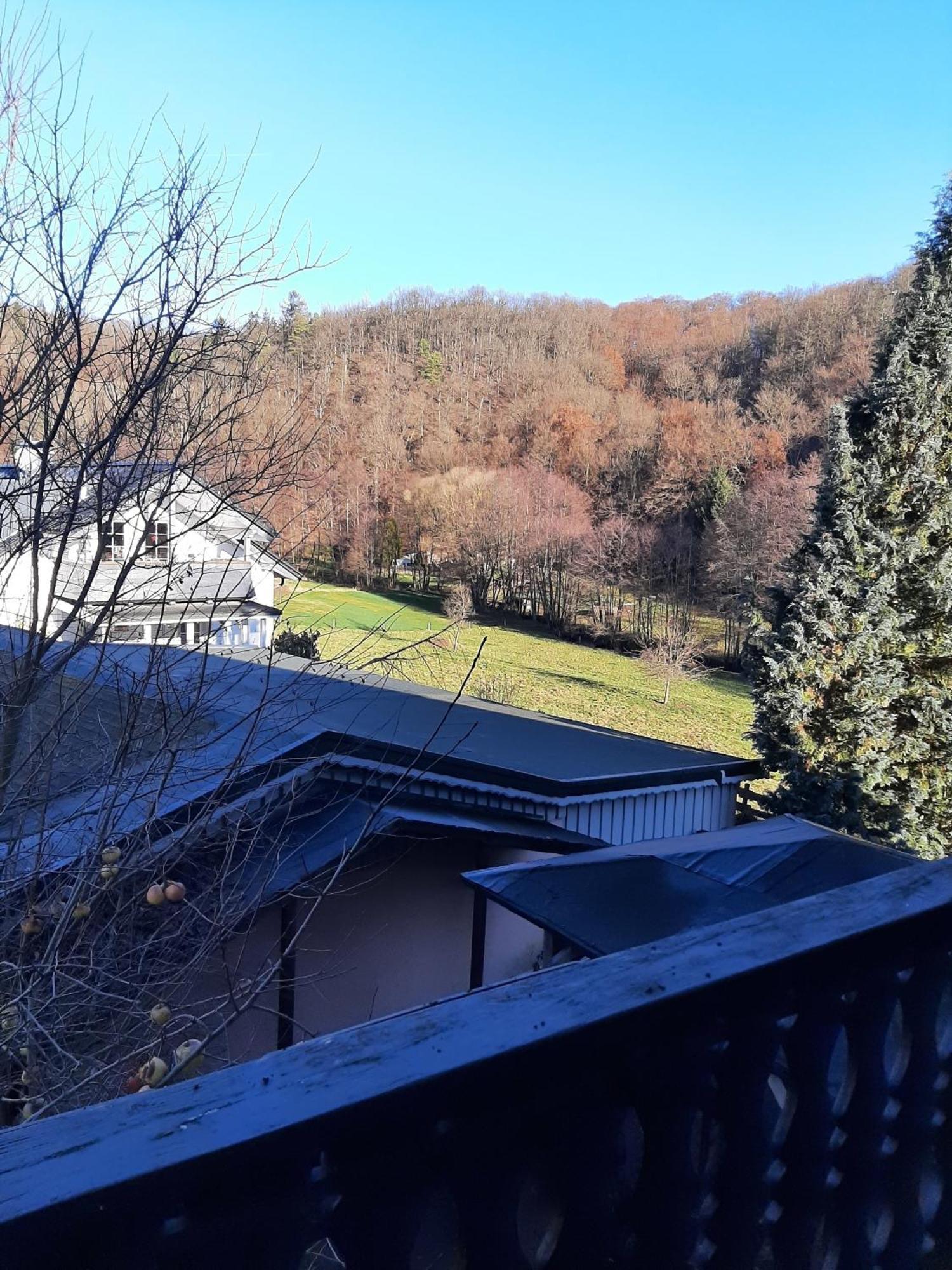 הלנברג Ferienwohnung Bergblick מראה חיצוני תמונה