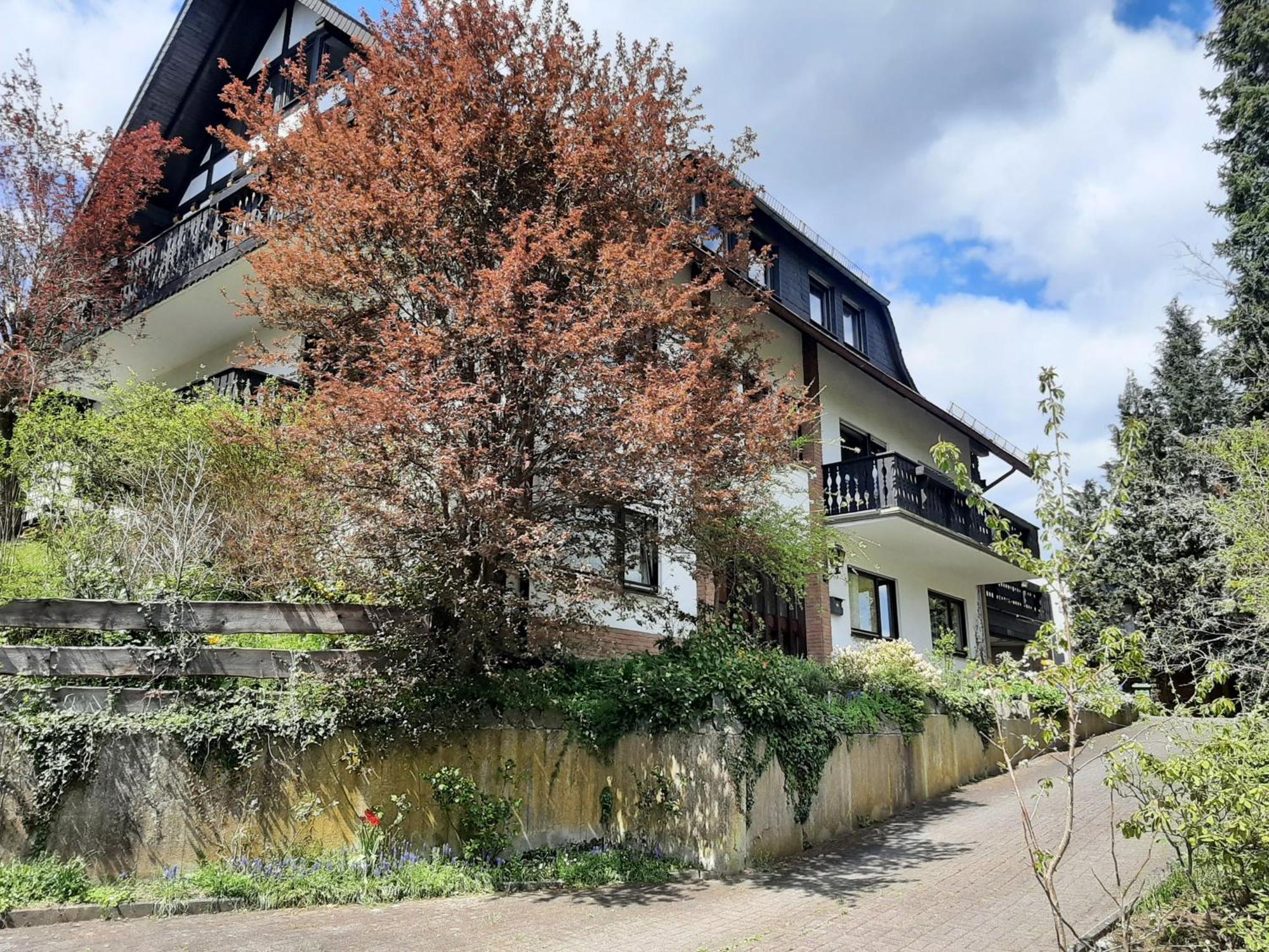הלנברג Ferienwohnung Bergblick מראה חיצוני תמונה